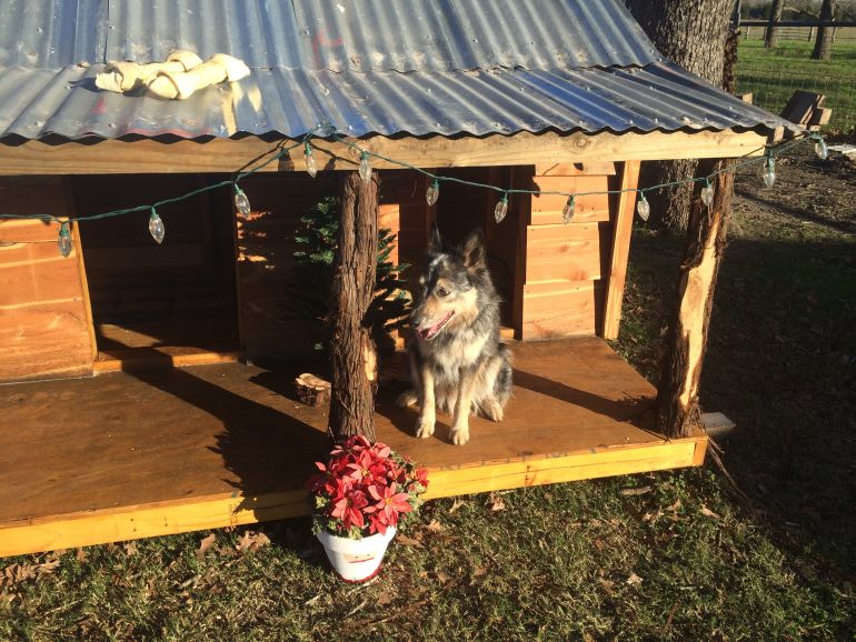 Dog House Saloon WoodMizer Personal Best Contest